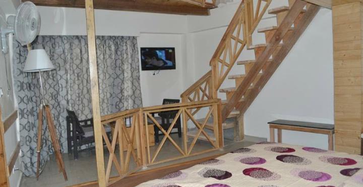 Swiss Wood Hotel Манали Экстерьер фото